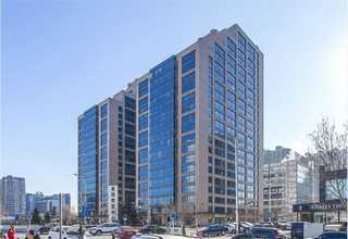 祛黄褐斑鹿胎胶囊怎么样