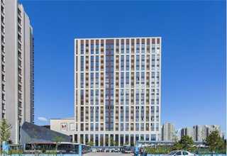 木饰面护墙好不好